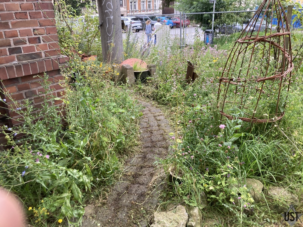 IMG 0563 (4506 Besuche) Ein Gartenweg war unter dem Klee! IMG 0563