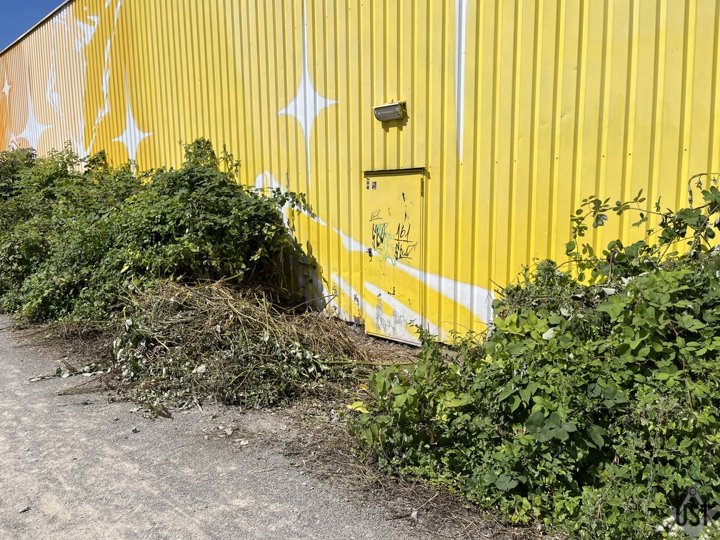 IMG 6008 (3768 Besuche) Freigeschnittener Notausgang IMG 6008