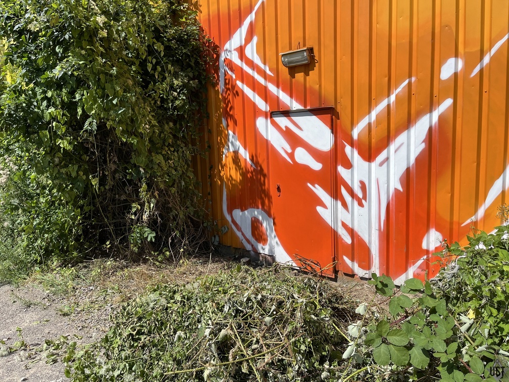 IMG 6009 (3755 Besuche) Noch ein freigeschnittener Notausgang IMG 6009