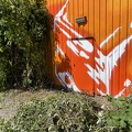IMG_6009.jpeg