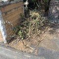 IMG_6358.jpeg