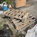 IMG_6361.jpeg