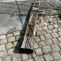 IMG_6362.jpeg