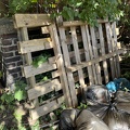 IMG_6364.jpeg