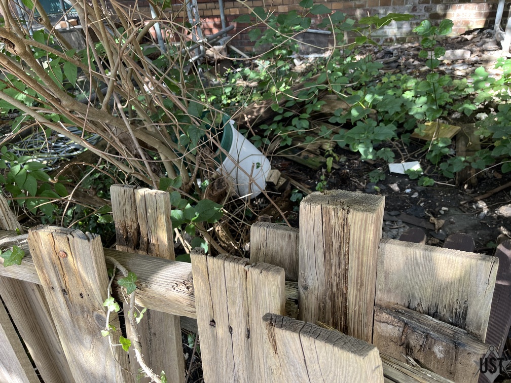 IMG 6367 (3727 Besuche) IMG 6367