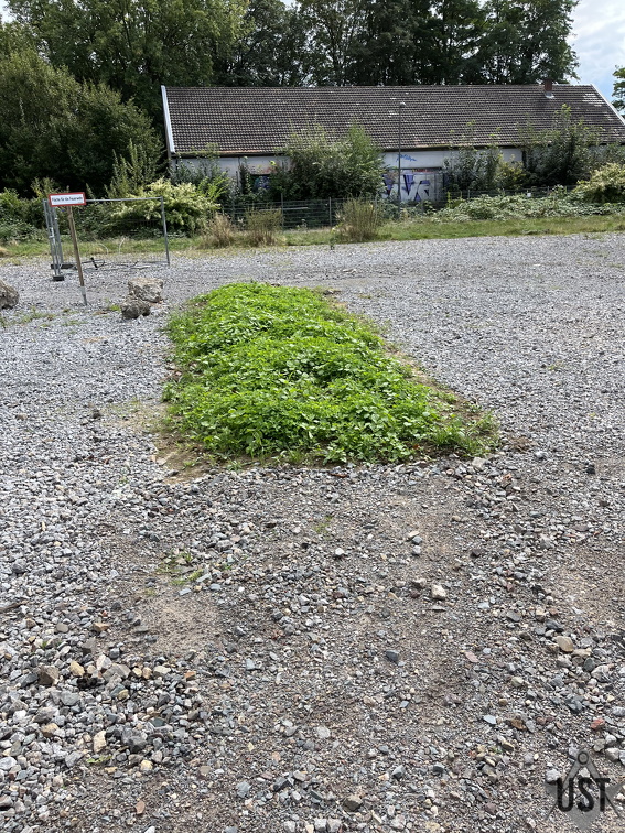 IMG 6376 (3803 Besuche) IMG 6376