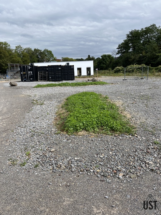 IMG 6377 (3847 Besuche) IMG 6377