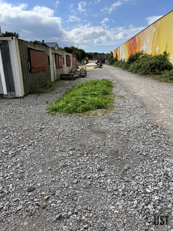 IMG 6378 (3919 Besuche) IMG 6378