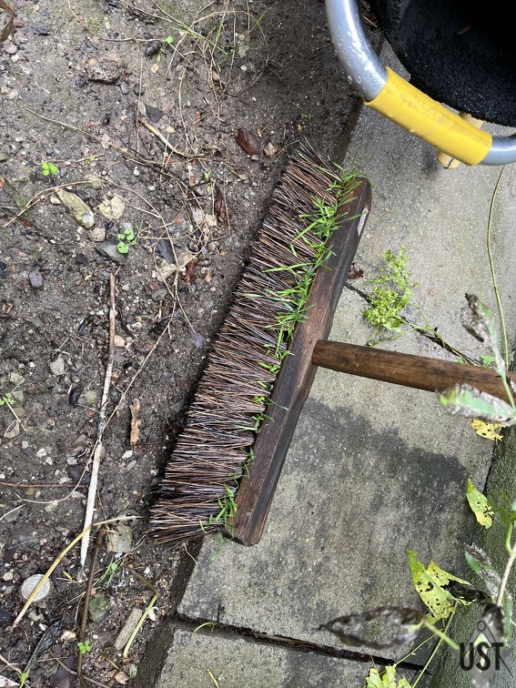 IMG 6602 (3644 Besuche) IMG 6602