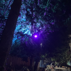 GPA Workout 2024 KW 49