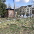IMG_1552.JPG