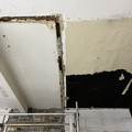 IMG_7313.jpeg