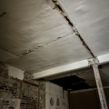 IMG_7317.jpeg