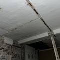 IMG 7318