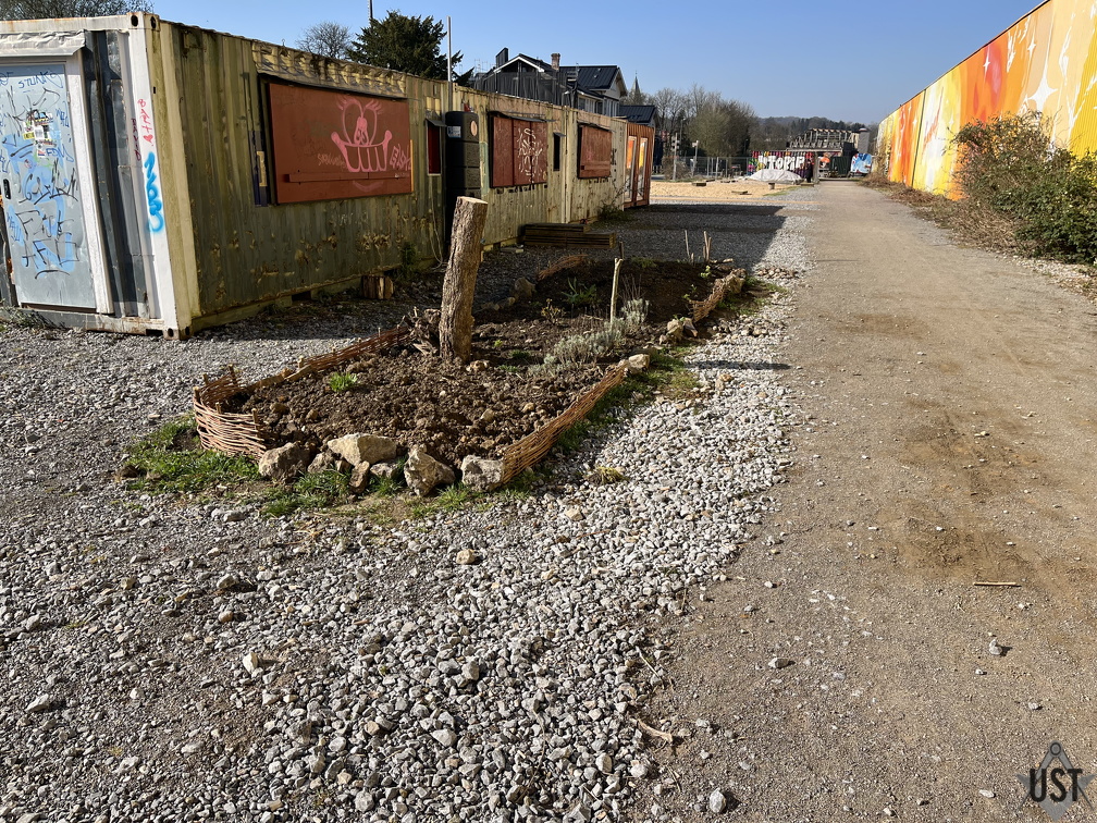 IMG 7351 (2579 Besuche) IMG 7351