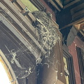 IMG_7402.jpeg