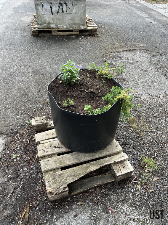 IMG 7447 (2338 Besuche) IMG 7447