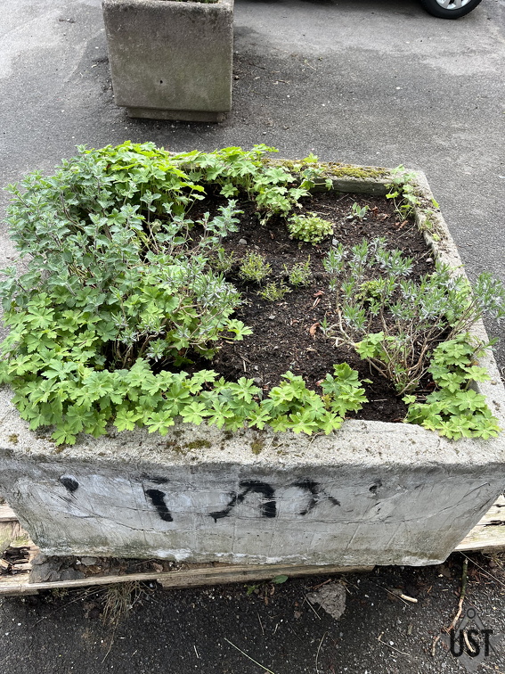 IMG 7448 (2359 Besuche) IMG 7448