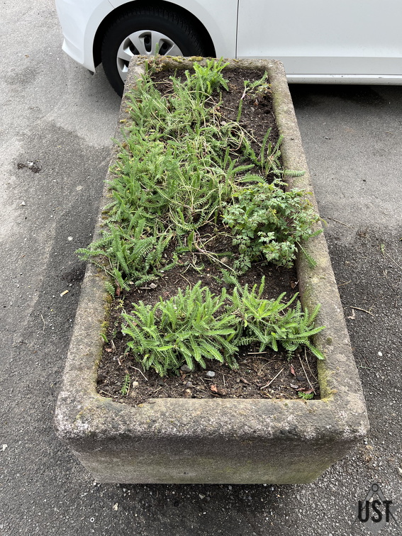 IMG 7449 (2402 Besuche) IMG 7449