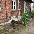 IMG_7542.jpeg