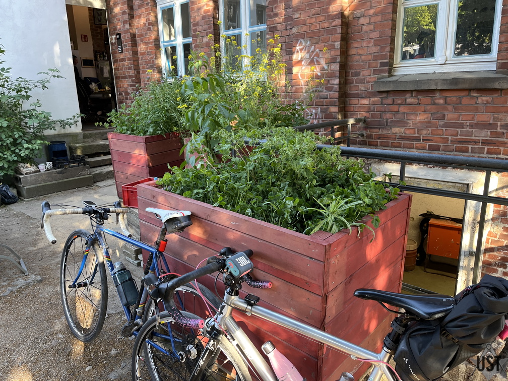 IMG 7618 (2287 Besuche) IMG 7618