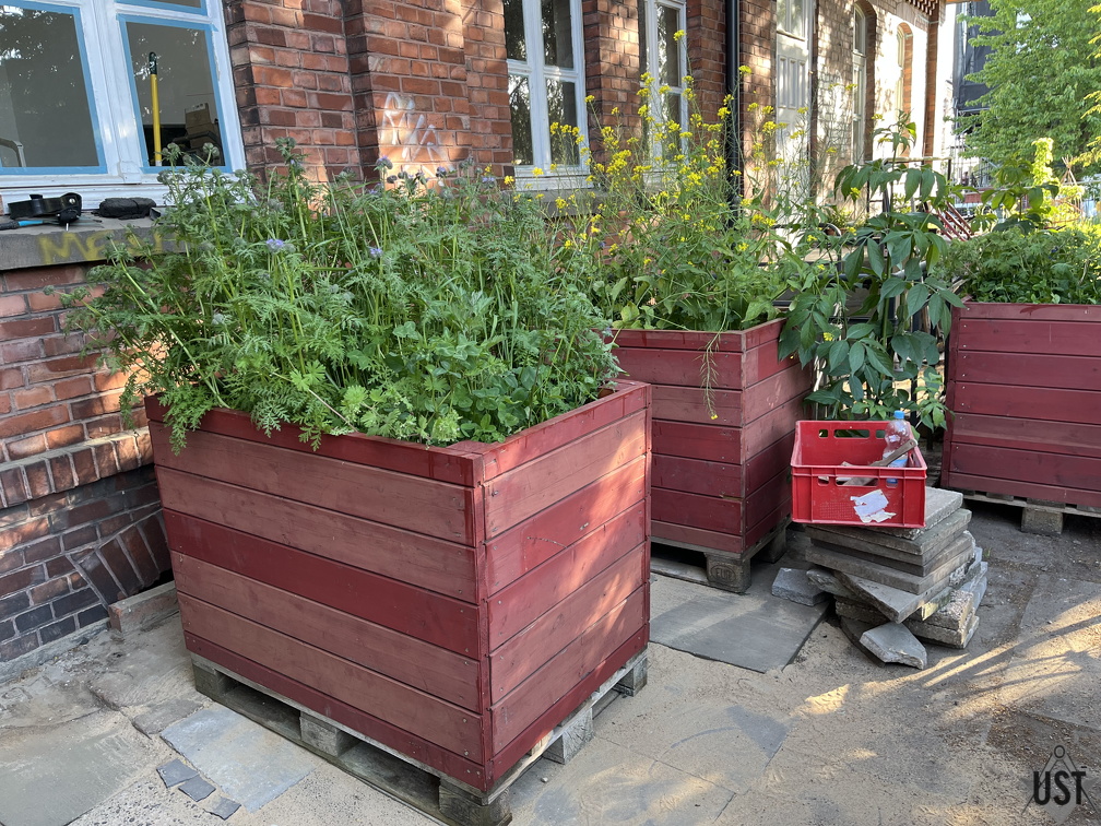 IMG 7619 (2296 Besuche) IMG 7619