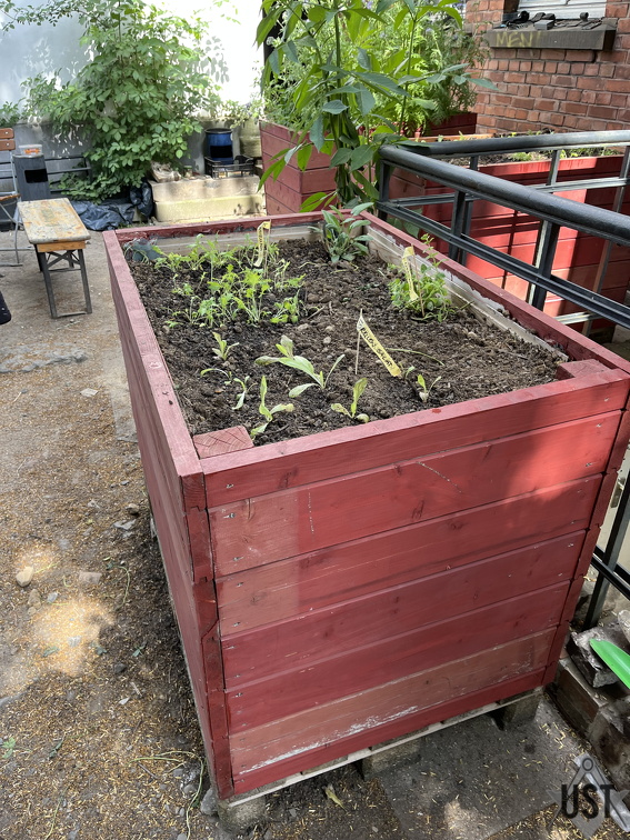 IMG 7659 (2285 Besuche) IMG 7659