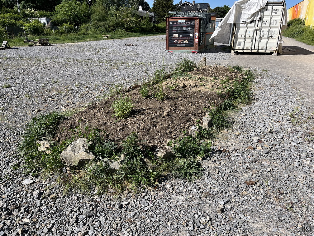 IMG 7667 (2178 Besuche) IMG 7667