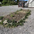 IMG_7667.jpeg