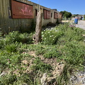 IMG_7668.jpeg