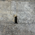 IMG_7712.jpeg