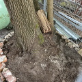 IMG_7738.jpeg