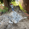 IMG 7833
