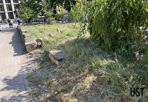 IMG 7837