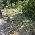 IMG_7837.jpeg