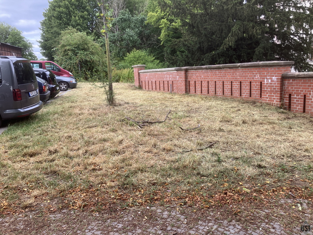 IMG 2171 (2007 Besuche) Eine Grünfläche wurde am Verbuschen gehindert IMG 2171