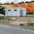 IMG 7908