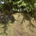 IMG_2189.JPG