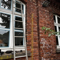IMG 7956