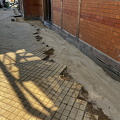 IMG_8030.jpeg