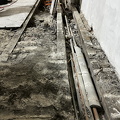 IMG_8065.jpeg