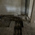 IMG_8103.jpeg