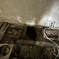 IMG_8104.jpeg