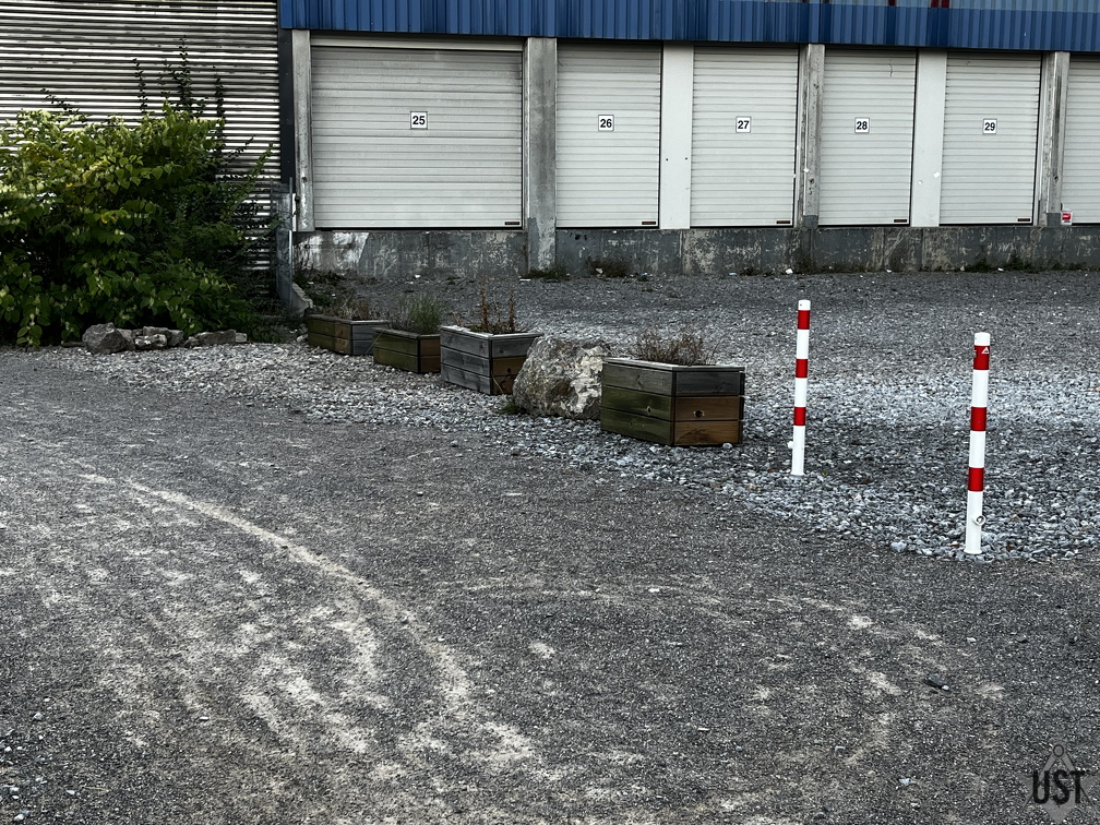 IMG 8196