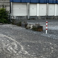 IMG 8196