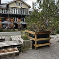 IMG_8237.jpeg