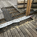 IMG_8283.jpeg