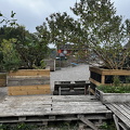 IMG_8309.jpeg