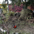 IMG_8391.jpeg