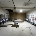 IMG_8390.jpeg
